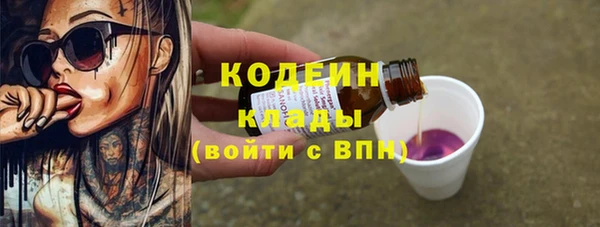 прущие грибы Новодвинск