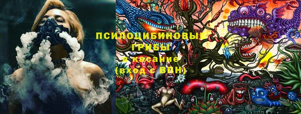 ALPHA PVP Верея
