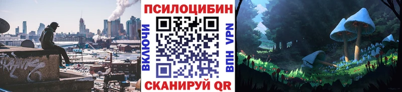 Псилоцибиновые грибы Magic Shrooms  магазин    Новохопёрск 